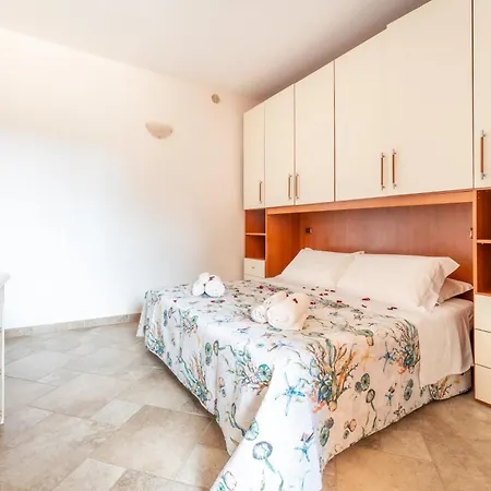 Stella Maggiore 维拉西米乌斯